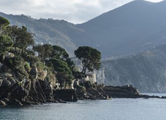 Ile kosztuje komplet sztućców? Ile kosztuje komplet sztućców?