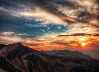 O której godzinie wychodzą krety?