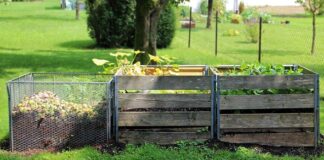 Jaki kompostownik z drewna czy plastikowe?