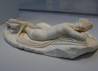 Jak długo żyją dżdżownice?