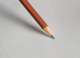 Czy usuwać suche igły z TUI? Czy usuwać suche igły z TUI?