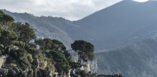 Ile kosztuje 1 zdjęcie w Rossmannie?