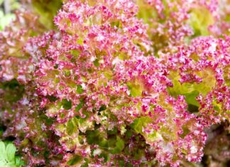 Co można zrobić ze starej pościeli?