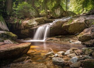Co oznacza literka R na pierścieniu? Co oznacza literka R na pierścieniu?