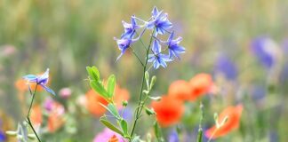 Czy w odpływie wanny powinna stać wodą?