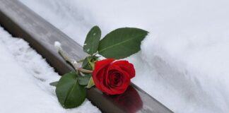 Co to znaczy imię Lena?