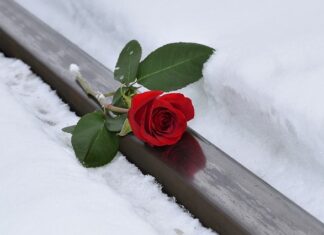 Co to znaczy imię Lena?