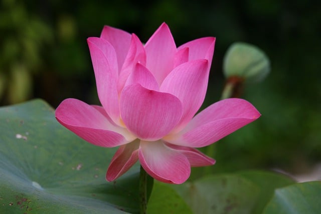 Jak się mówi po angielsku sztućce? Jak się mówi po angielsku sztućce?