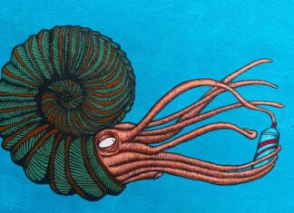 Czy syfony są uniwersalne?