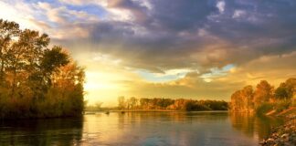 Po co jest koło pasowe?