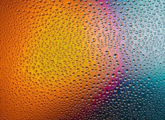 Jak często powinno się myć toaletę?