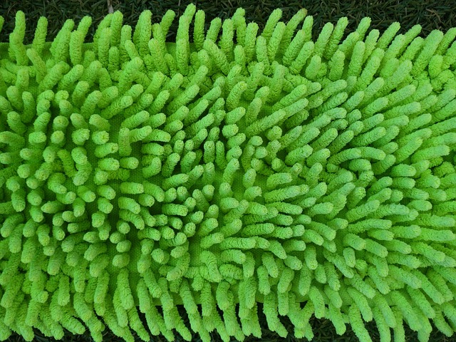 Czy do mopa parowego można wlać płyn do podłóg? Czy do mopa parowego można wlać płyn do podłóg?