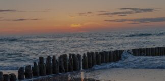 Co lepsze na chwasty?