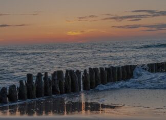 Co lepsze na chwasty?