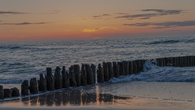 Co lepsze na chwasty? Co lepsze na chwasty?