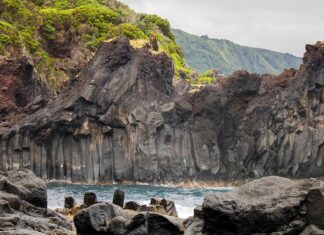 Co robi Szymon Sipowicz?