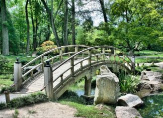 Do czego służą japońskie noże? Do czego służą japońskie noże?