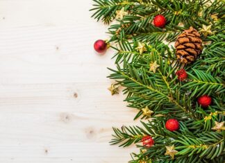 Czy usuwać igły spod TUI? Czy usuwać igły spod TUI?