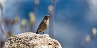 Jak usunąć pleśń z silikonu w kabinie prysznicowej?