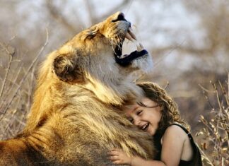 Jaka jest najlepsza bawełna? Jaka jest najlepsza bawełna?