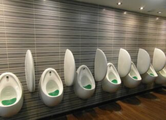 Czy mocz przyspiesza kompostowanie? Czy mocz przyspiesza kompostowanie?