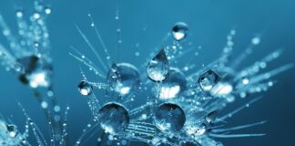 Jak dbać o czystość kabiny prysznicowej?