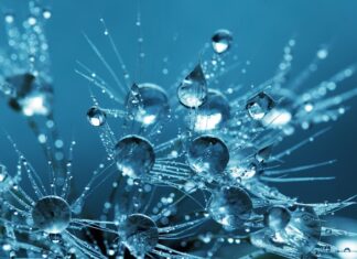 Jak dbać o czystość kabiny prysznicowej?