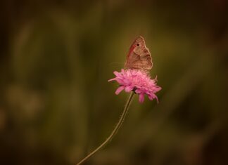 Jak usunąć rdzę z baterii Łazienkowej?