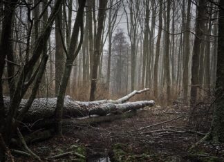 Co zrobić kiedy wieje od okna?