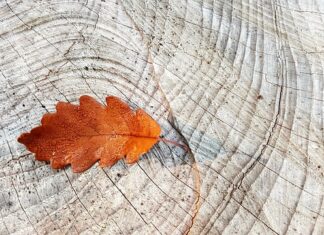 Czy warto wymieniać same pierścienie tłokowe?