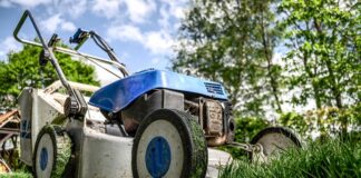 Ile kosztuje kosiarka do trawy?