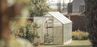 Co opłaca się uprawiać w szklarni