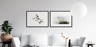 Odkryj Magię Żurawi w Twoim Domu z Galerią w Chmurach